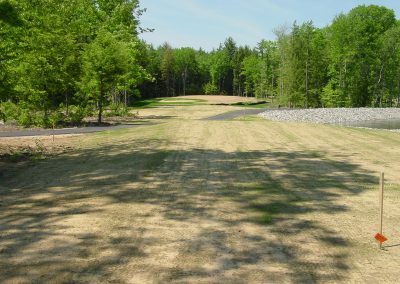 golf hole during grow-in process